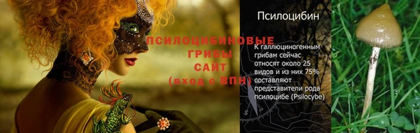 круглые Алзамай