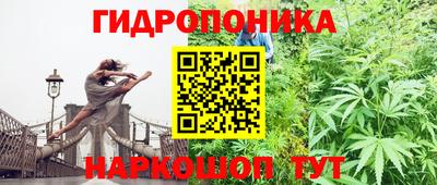 дурь Заводоуковск