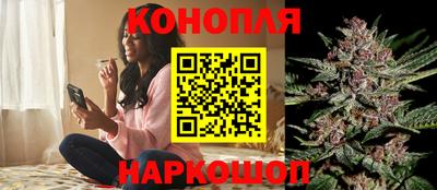 дурь Заводоуковск
