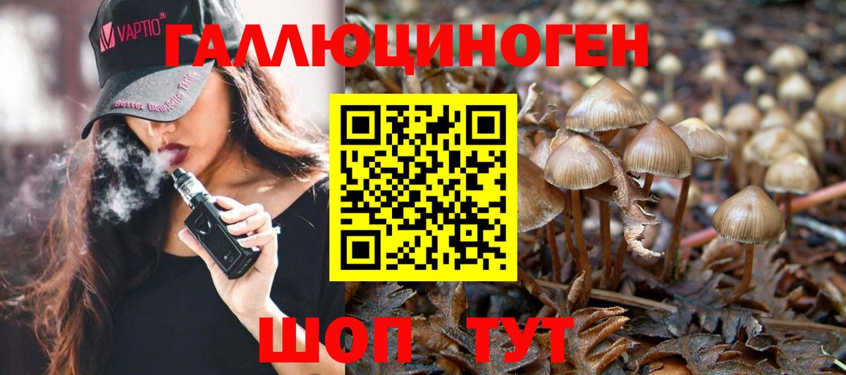 Галлюциногенные грибы Cubensis Нижний Новгород