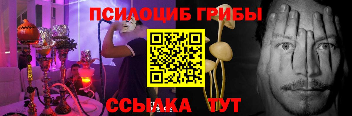 Нижний Новгород  Псилоцибиновые грибы GOLDEN TEACHER  Вход с VPN 